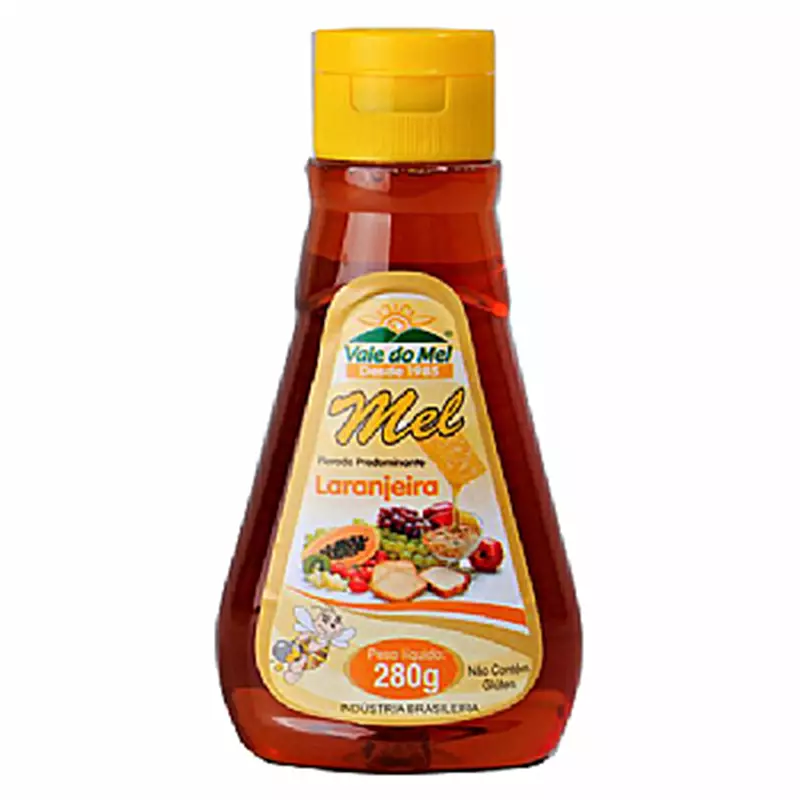 Mel Bisnaga Laranjeira 280g Vale do Mel