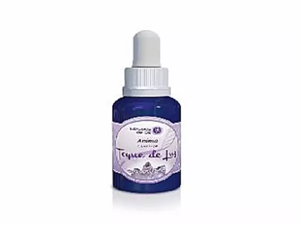 Toque de Luz, 30ml - Ânimo (Esperança) Toque de Luz, 30ml - Ânimo (Esperança)