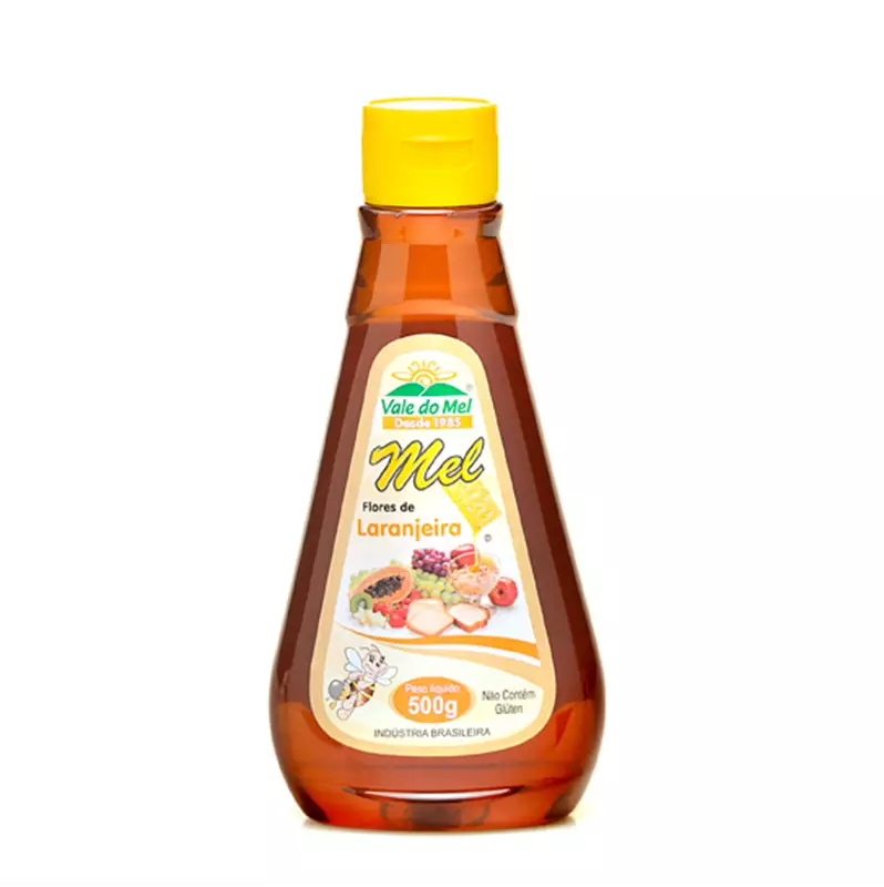 Mel Bisnaga Laranjeira 500g Vale do Mel