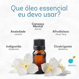 Óleo Essencial Alecrim 10ml - WNF